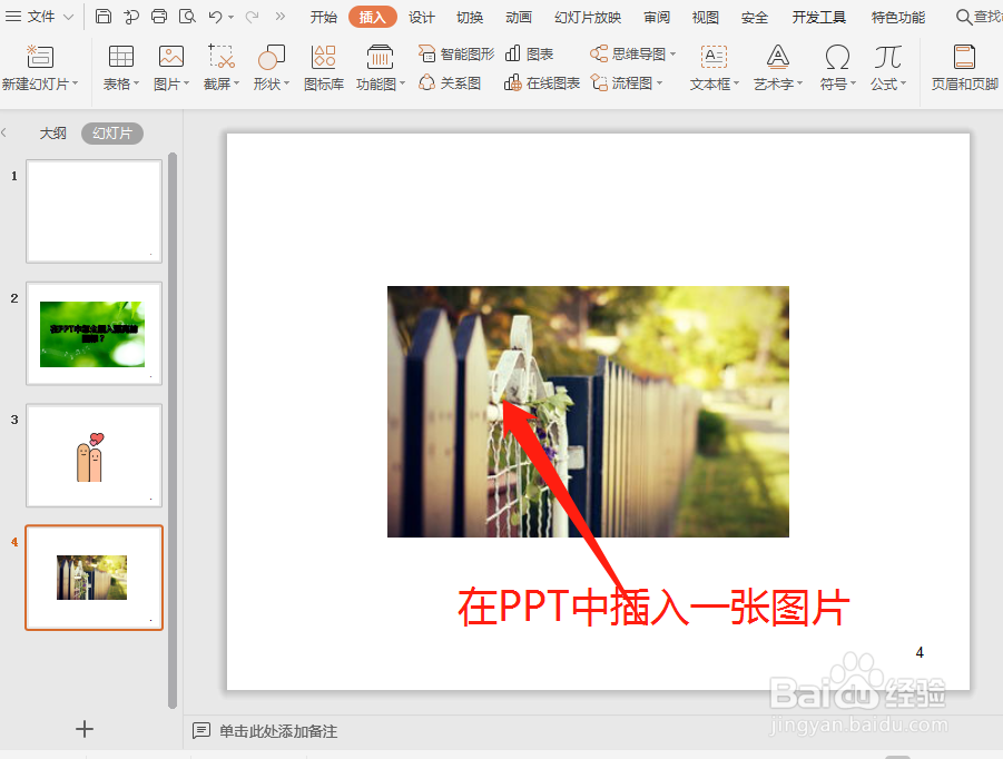 在PPT中怎么把图片裁剪成不同的形状？
