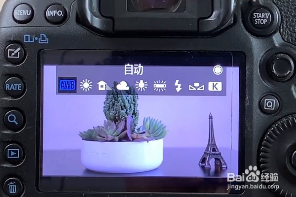 相机如何调节白平衡和色温?