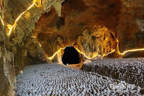 白酒的储存方法有哪些?