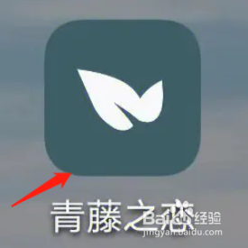 青藤之恋怎么绑定微信