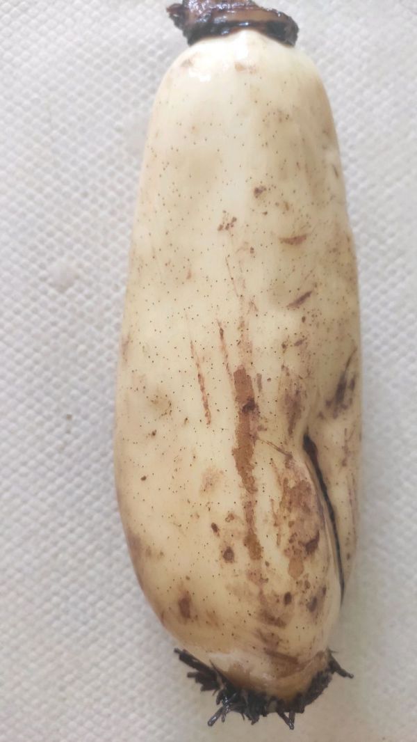 凉拌麻辣红油藕片