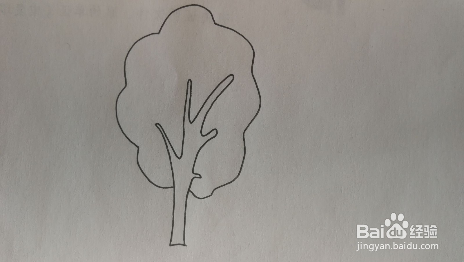 #经验分享官#大树简笔画