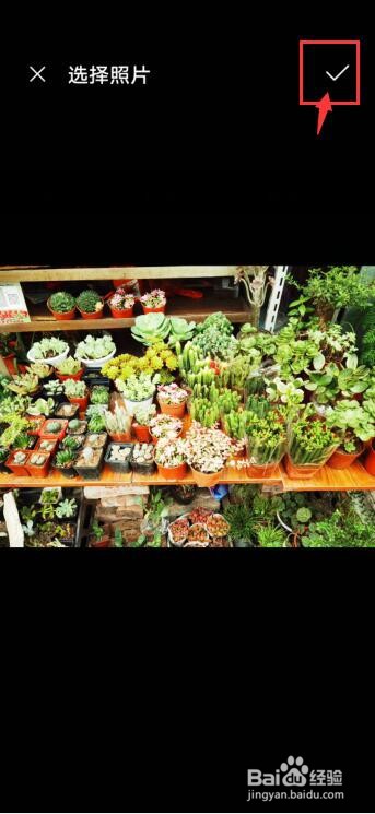 Snapseed怎么锐化图片