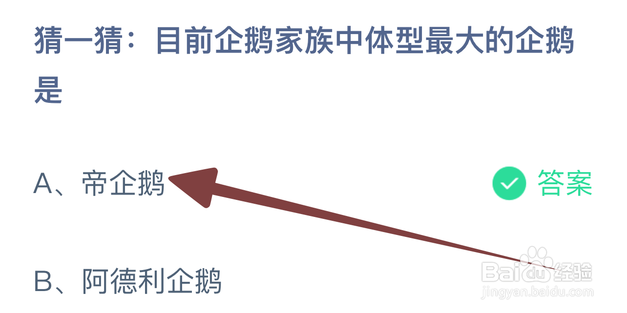 蚂蚁庄园2024.9.4:企鹅家族中体型最大的企鹅是