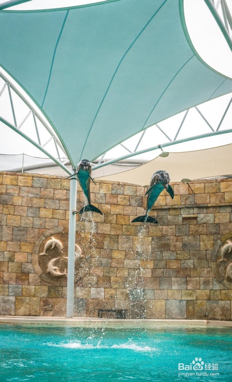 新加坡旅游简记21