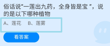 俗话说一莲出九药说的是以下哪种植物蚂蚁庄园