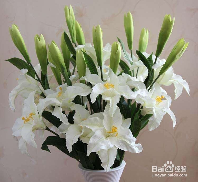 客厅宜放的植物