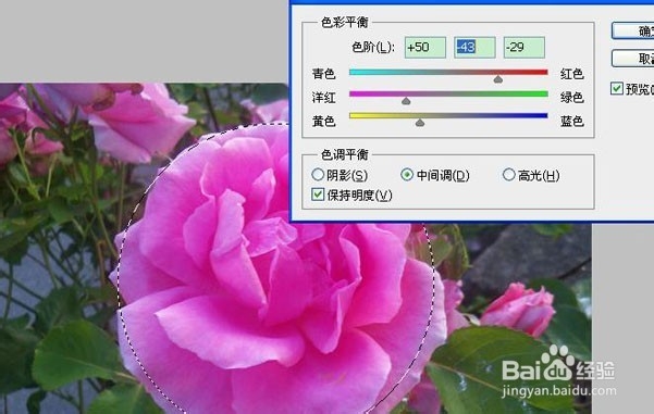 ps淘宝美工教程：[4]局部高光调制唯美图片