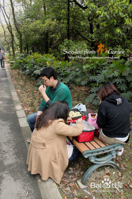 上海植物园（上）