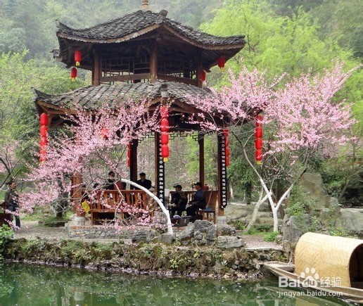 怎么样选择半自助游？