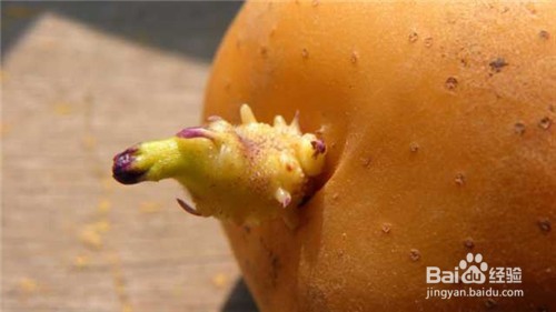 土豆茄子豆角，这8种常见蔬菜吃不对竟然会要命