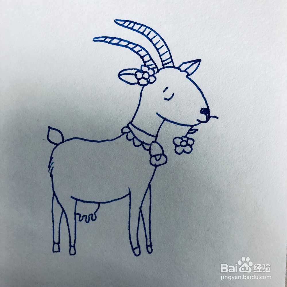 田野里戴铃铛的小山羊简笔画绘画