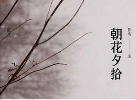 朝花夕拾的主要内容
