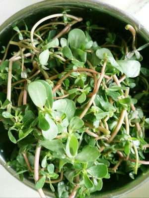 马子菜怎样做菜吃