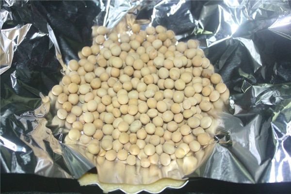 酸奶奶酪无花果挞