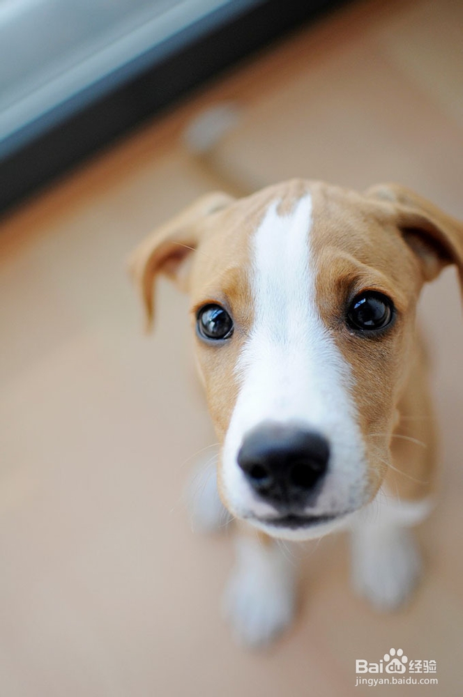 为大学生提供自主创业的方法