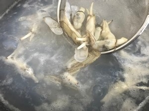 烹蛏子怎么做