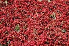 教您如何消除新房装修后的异味