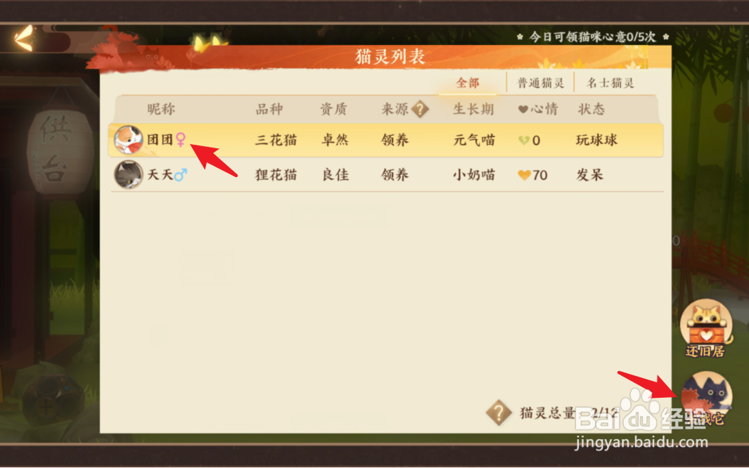 忘川风华录怎么结猫亲