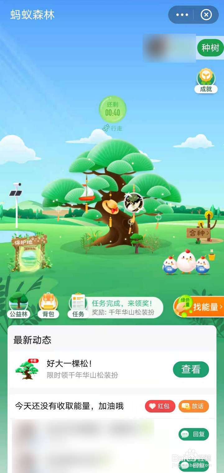 支付宝蚂蚁森林怎么获取青青华山松装扮