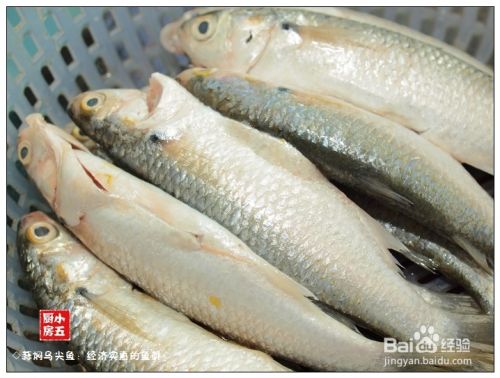 蒜焖乌尖鱼:经济实惠的鱼鲜