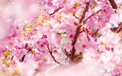 如何挑选适合女生戴的手表？