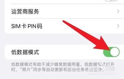 怎么关闭苹果手机的低数据模式