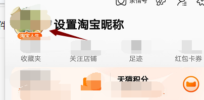 淘宝人生账单在哪里看