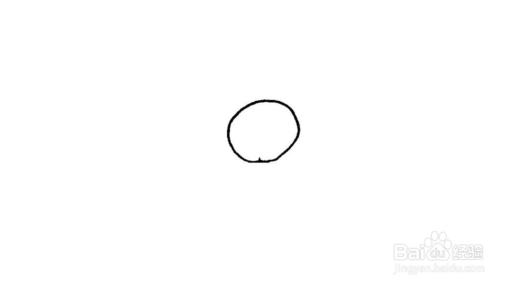 蜘蛛简笔画画法教程