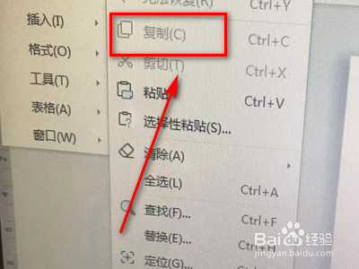 如何操作word编辑选项下的复制功能？