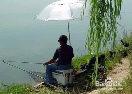 野钓中那些鱼有毒还有硬刺