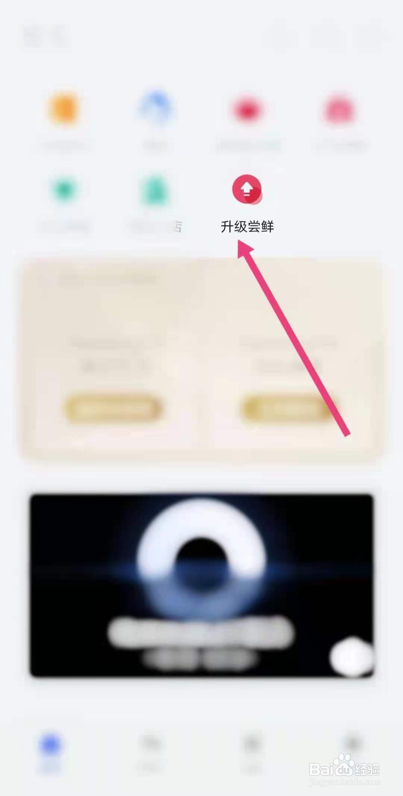 华为nova8pro手机怎么升级鸿蒙