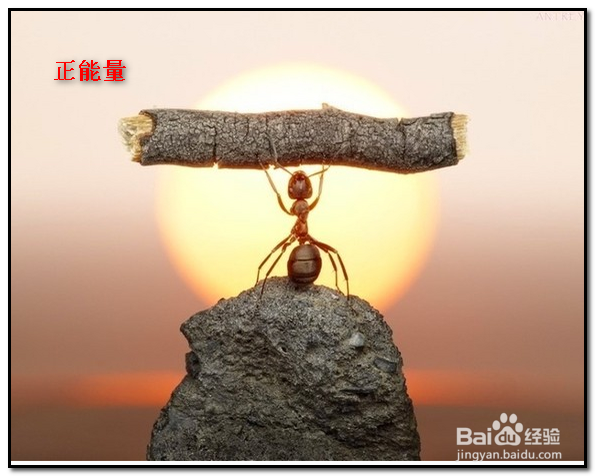 用微信做营销应该注意些什么