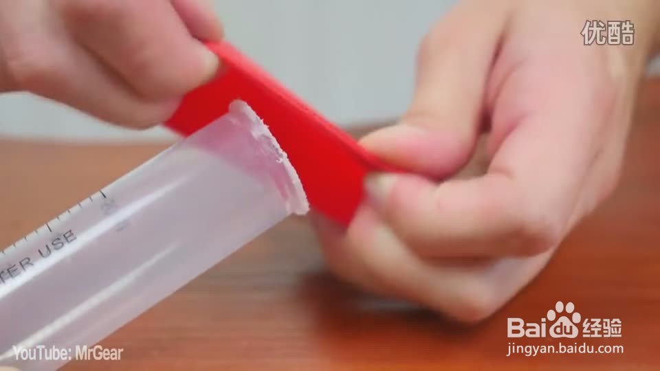 动物的发声器