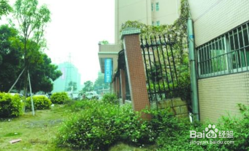 买楼房应该注意什么问题