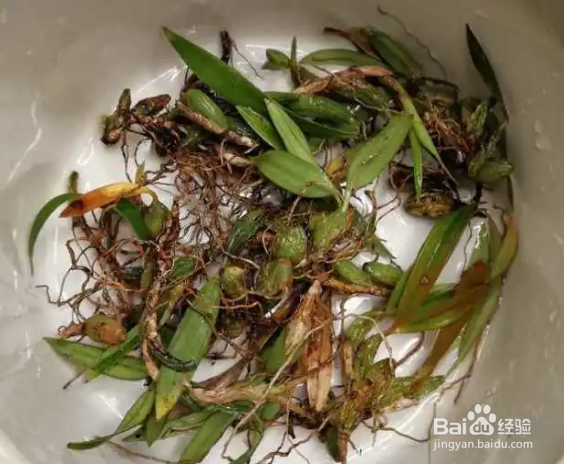 石橄榄怎么清洗