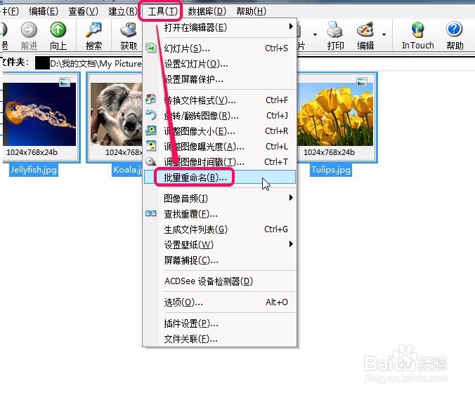 acdsee如何批量(大量多张)重命名(修改名称)图片