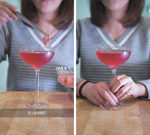 100种家庭鸡尾酒