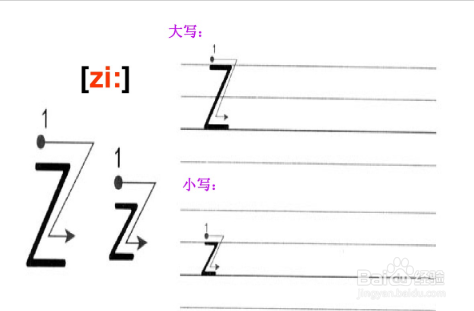 26个英文字母大小写占格怎么占