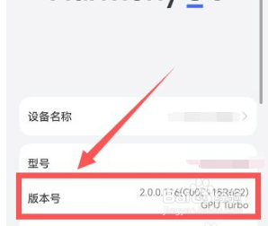 鸿蒙开发者选项在哪？
