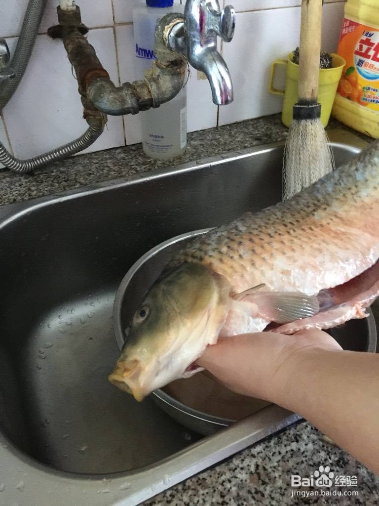 如何用HOSHOM禾莯食物净化机清洗鱼类