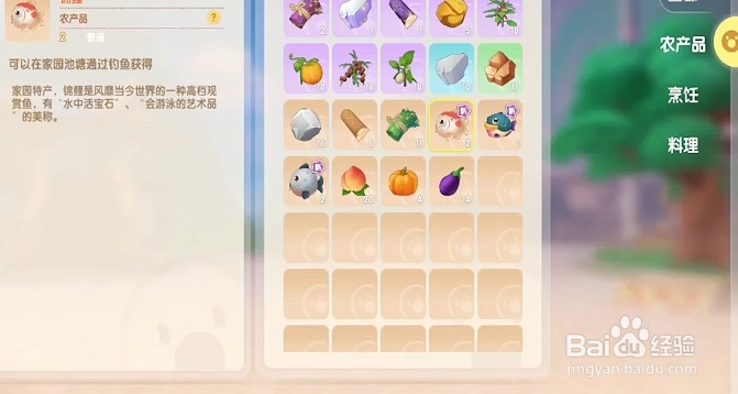 摩尔庄园锦鲤长什么样