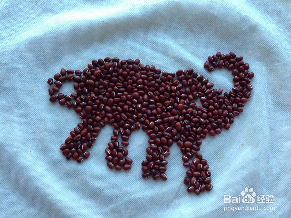 怎样画种子画--大象