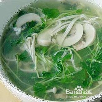 粤菜---豆苗蘑菇汤的做法