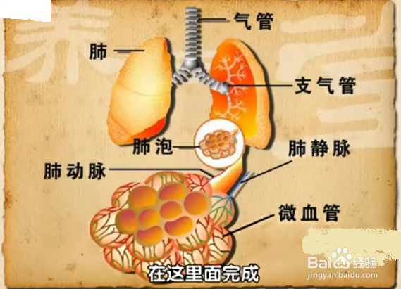 感冒分几种如何区别