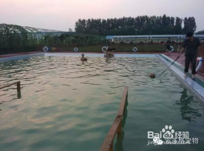 投资小型宠物店如何才能赚钱