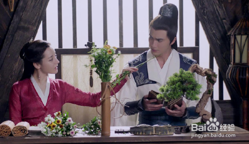 凤九和阿兰若是什么关系?