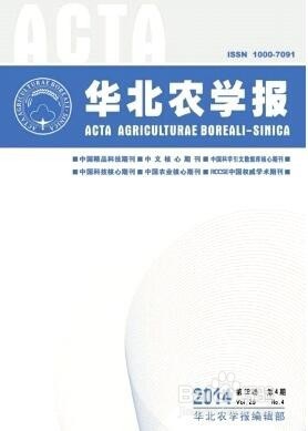 高级会计师评职称论文发表