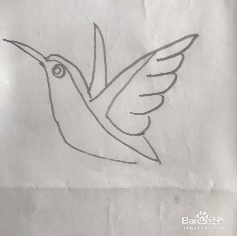 翠鸟简笔画三年级图片