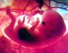 提前知道生男生女的方法大集锦